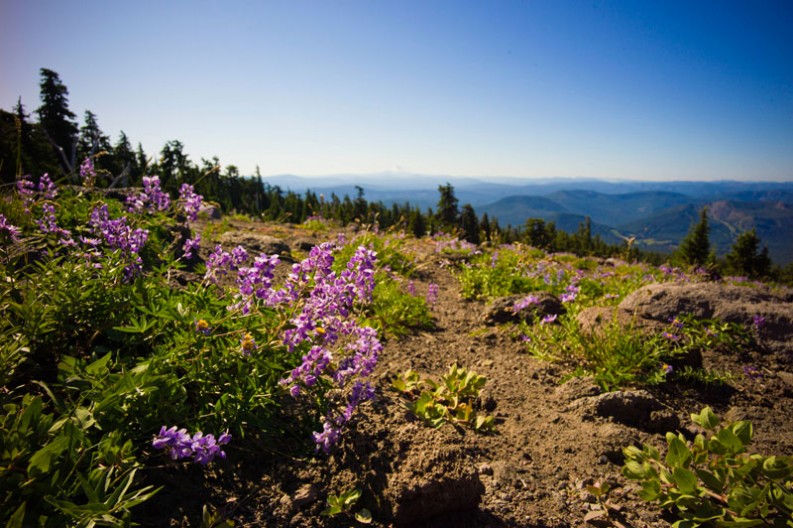 notworkrelated_usa_roadtrip_mt_hood_sisters_07