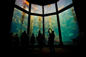 notworkrelated_usa_road_trip_monterey_35