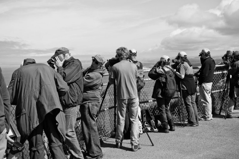 notworkrelated_usa_road_trip_point_reyes_02