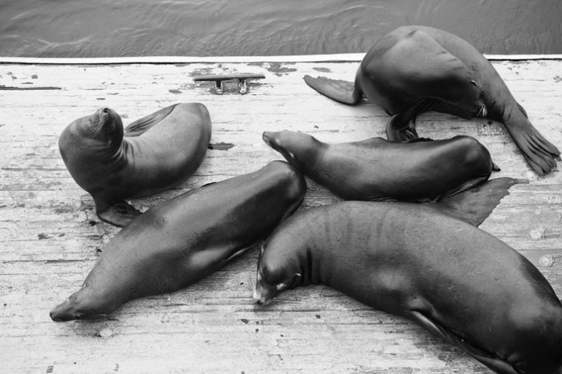 notworkrelated_usa_road_trip_santa_cruz_09