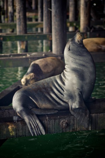 notworkrelated_usa_road_trip_santa_cruz_13