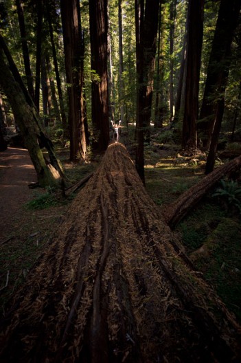 notworkrelated_usa_roadtrip_arcata2_23