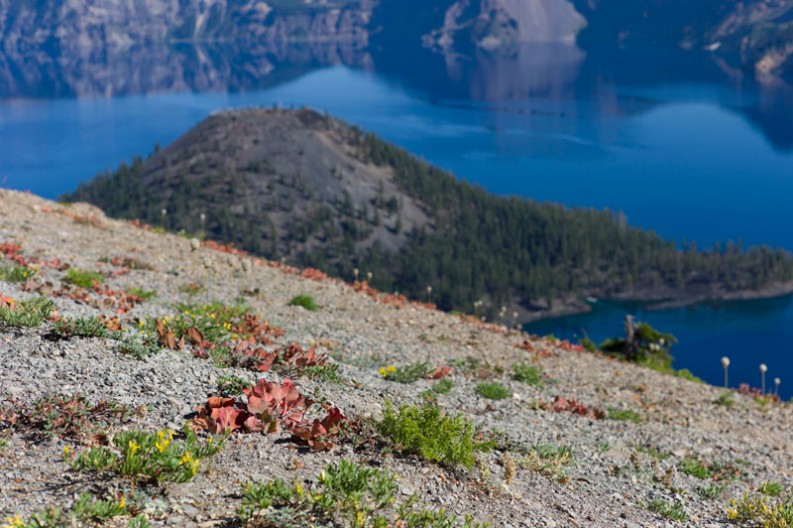 notworkrelated_usa_roadtrip_crater_lake_16