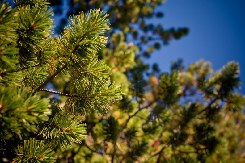 notworkrelated_usa_roadtrip_crater_lake_26