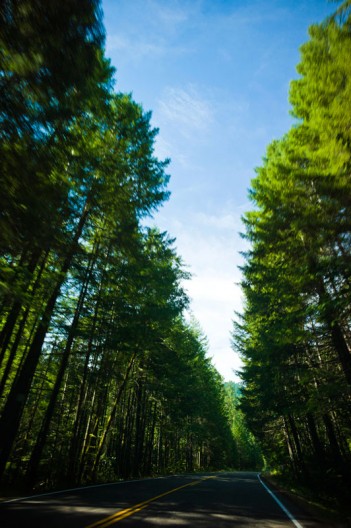 notworkrelated_usa_roadtrip_crater_lake_37