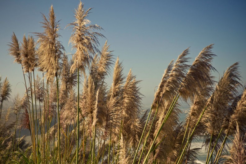 notworkrelated_usa_roadtrip_fort_bragg_02