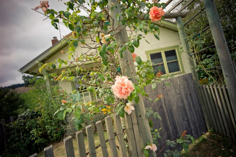 notworkrelated_usa_roadtrip_healdsburg_09