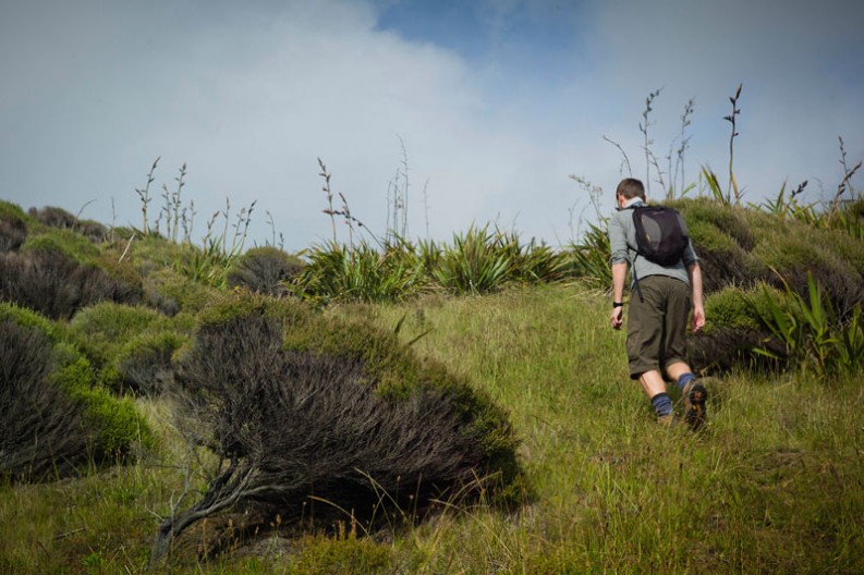 notworkrelated_nz_cape_reinga_01