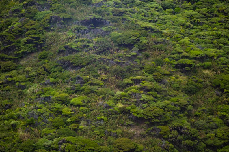 notworkrelated_nz_cape_reinga_08