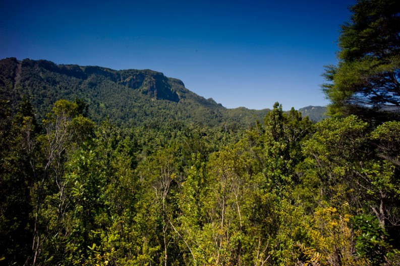 notworkrelated_nz_coromandel_peninsula_01