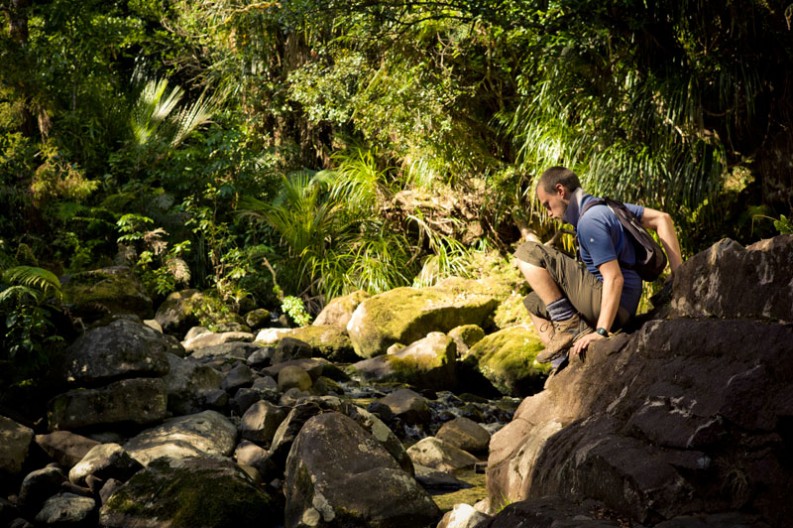 notworkrelated_nz_coromandel_peninsula_05