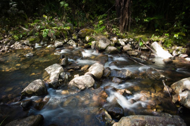 notworkrelated_nz_coromandel_peninsula_08