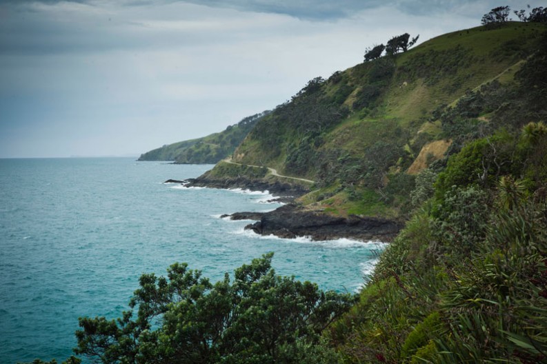 notworkrelated_nz_coromandel_peninsula_11