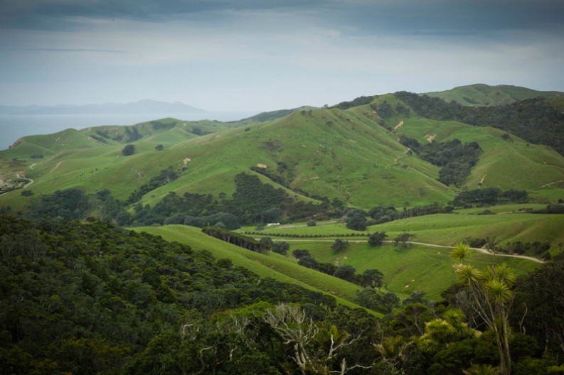 notworkrelated_nz_coromandel_peninsula_12