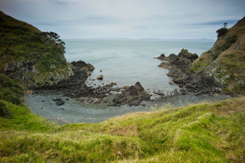 notworkrelated_nz_coromandel_peninsula_14