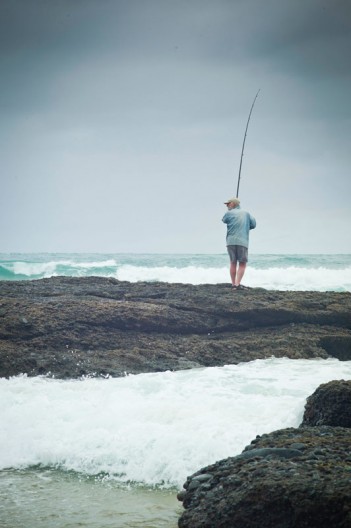 notworkrelated_nz_kauri_coast_04