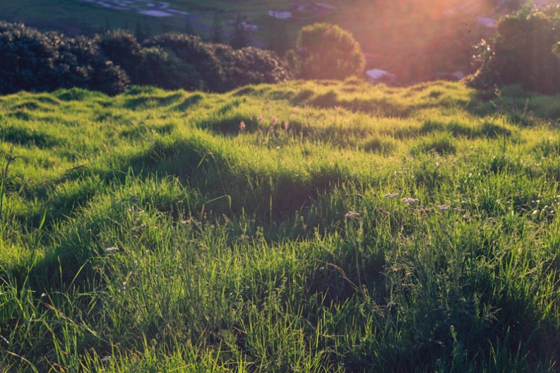 notworkrelated_nz_matauri_bay_23