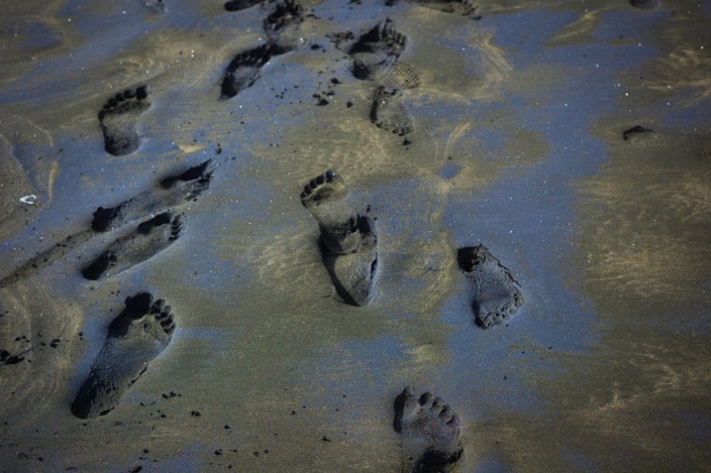 notworkrelated_nz_muriwai_beach_11