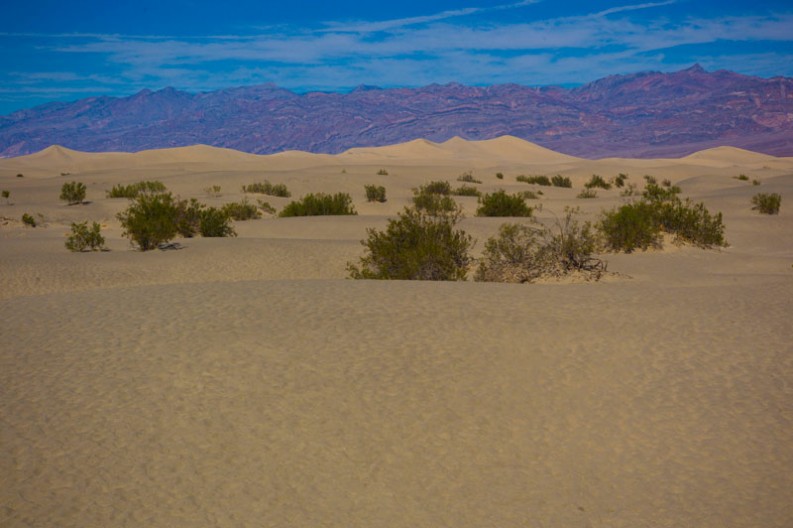 notworkrelated_usa_road_death_valley_13