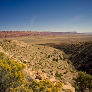 notworkrelated_usa_road_grand_canyon_03