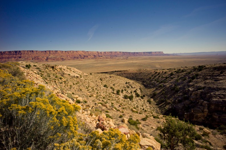 notworkrelated_usa_road_grand_canyon_03