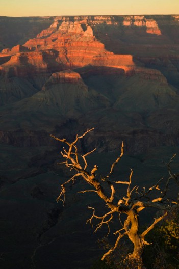 notworkrelated_usa_road_grand_canyon_25