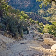 notworkrelated_usa_road_grand_canyon_31