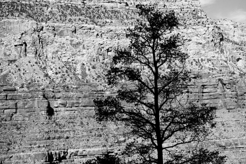 notworkrelated_usa_road_grand_canyon_40