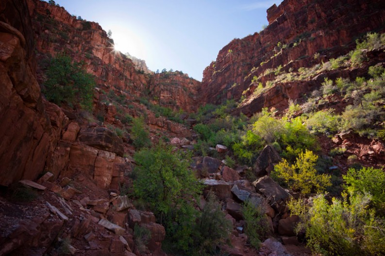 notworkrelated_usa_road_grand_canyon_42