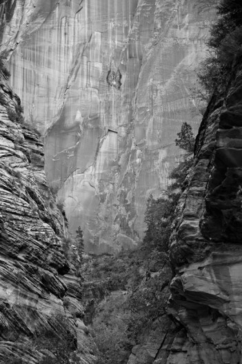 notworkrelated_usa_road_zion_05