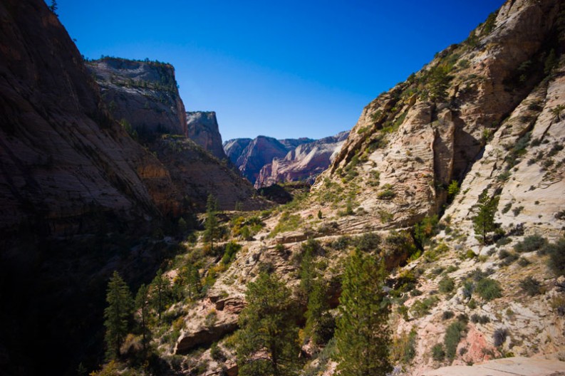 notworkrelated_usa_road_zion_12