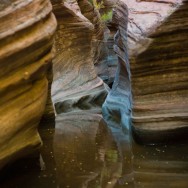 notworkrelated_usa_road_zion_23