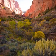 notworkrelated_usa_road_zion_28