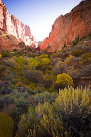 notworkrelated_usa_road_zion_28