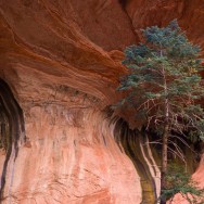 notworkrelated_usa_road_zion_34