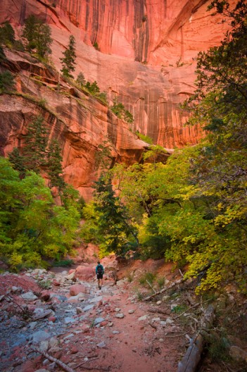 notworkrelated_usa_road_zion_36