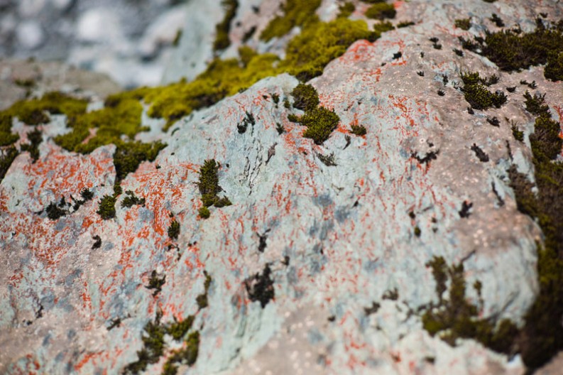 notworkrelated_new_zealand_glaciers_gillespies_beach_03