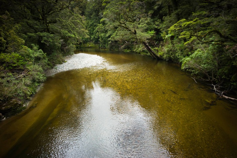 notworkrelated_nz_punakaiki_02