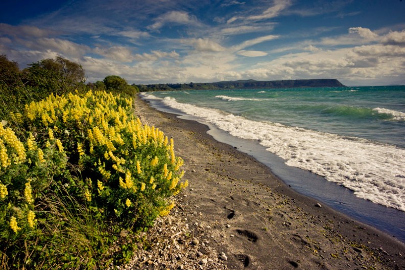 notworkrelated_nz_taupo_02
