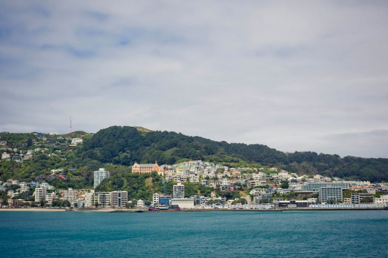 notworkrelated_nz_wellington_14