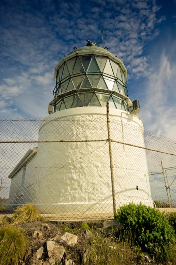 notworkrelated_new_zealand_caitlens_nugget_point_02