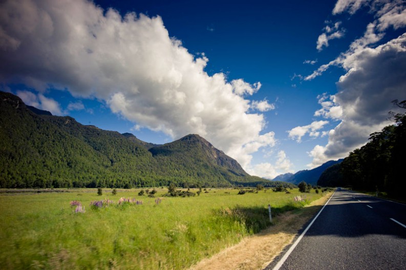 notworkrelated_new_zealand_fiordland01