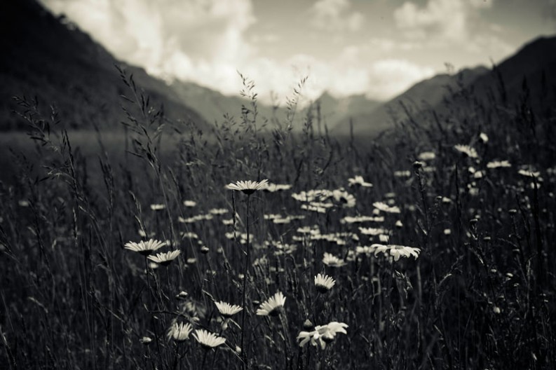 notworkrelated_new_zealand_fiordland02