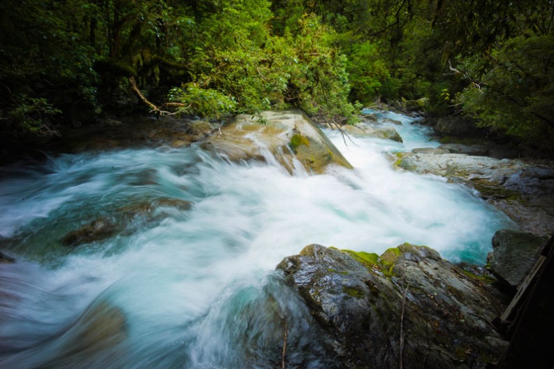 notworkrelated_new_zealand_fiordland13