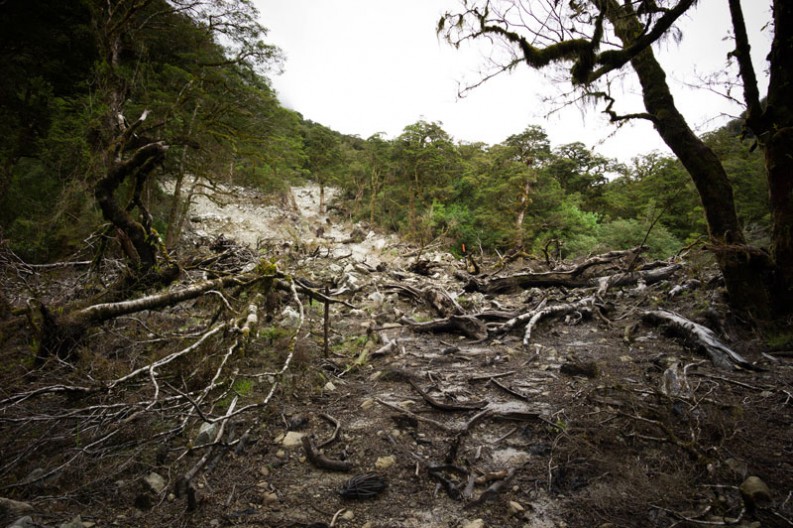 notworkrelated_new_zealand_fiordland14