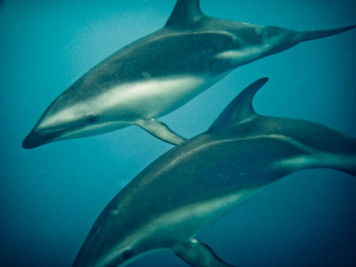 notworkrelated_new_zealand_kiakoura_12