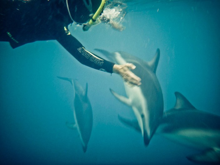 notworkrelated_new_zealand_kiakoura_13