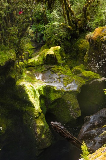 notworkrelated_new_zealand_milford_sound04