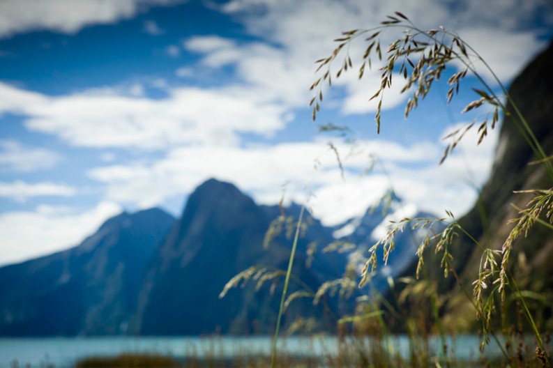 notworkrelated_new_zealand_milford_sound09