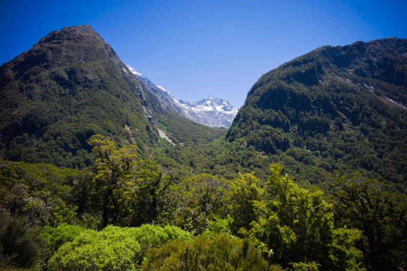 notworkrelated_new_zealand_milford_sound_06